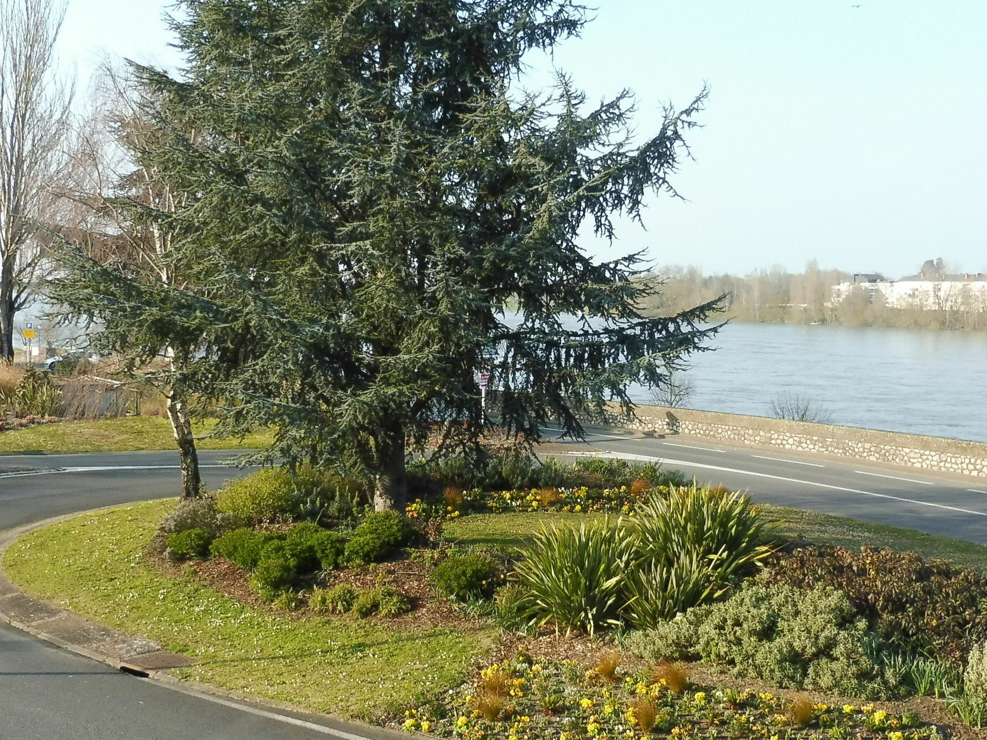 Rive Gauche Saumur